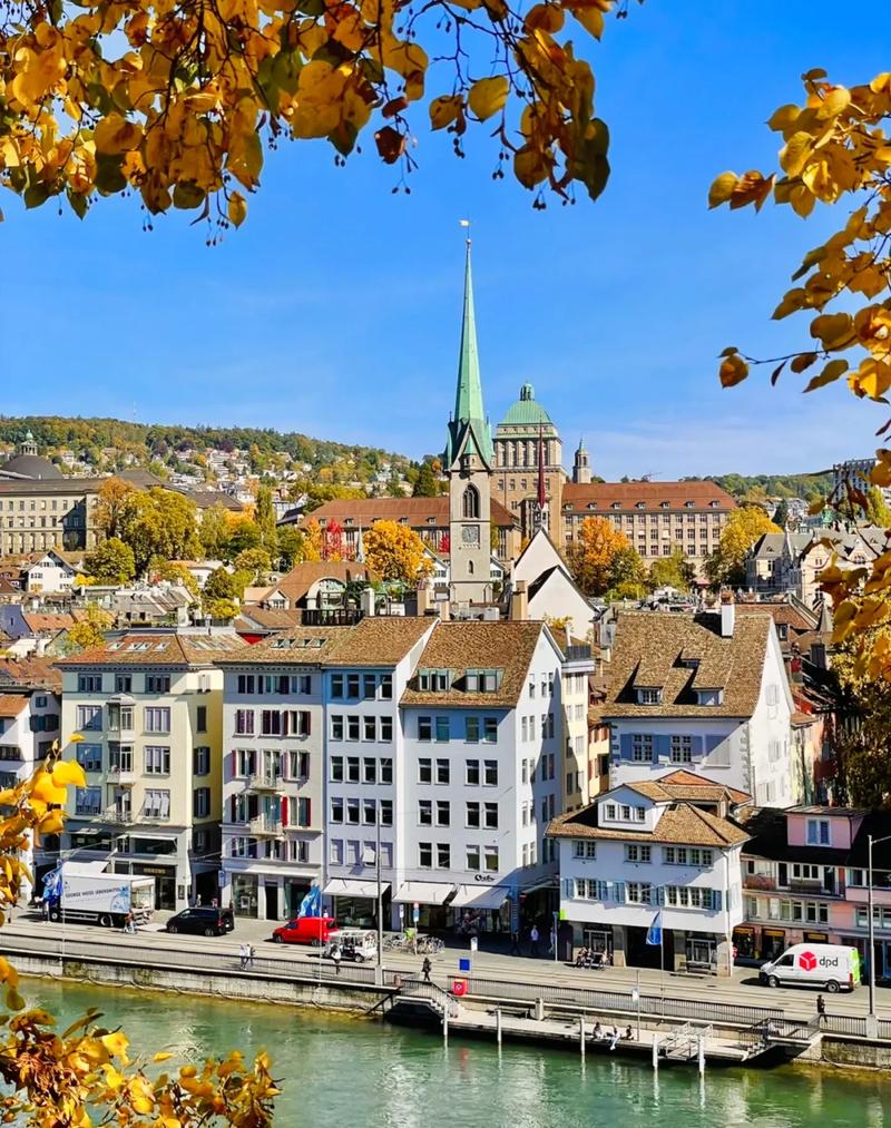 萨斯喀彻温大学